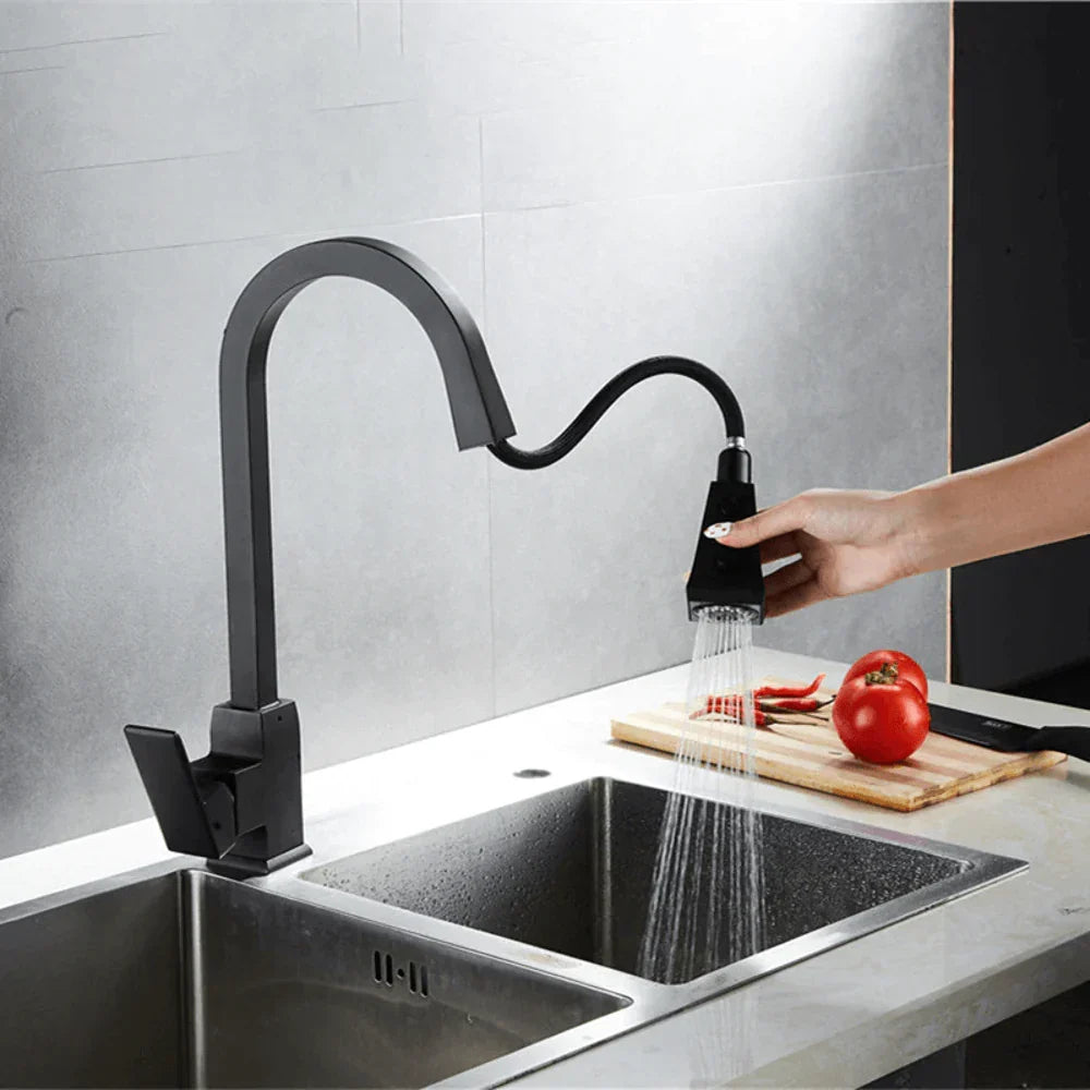 Varenna Kitchen Sink Faucet Solid Brass with Pull-Out Sprayer