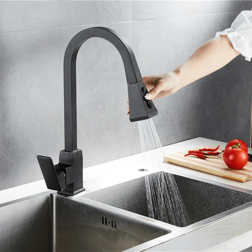 Varenna Kitchen Sink Faucet Solid Brass with Pull-Out Sprayer